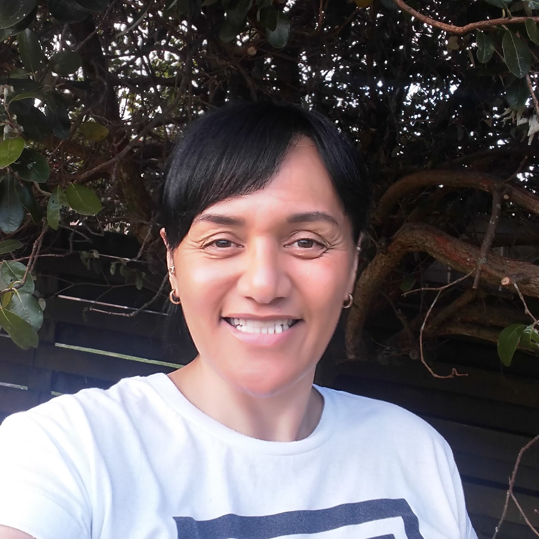 HB = 0,2,-8 FN=1 lidx=237.00 BS S(90)B(50)R(0) FM1 FC000000000